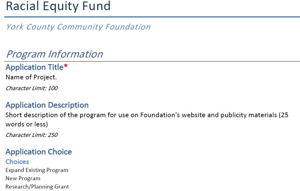 Racial Equity Fund Grant Application